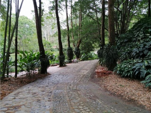 place photo 15