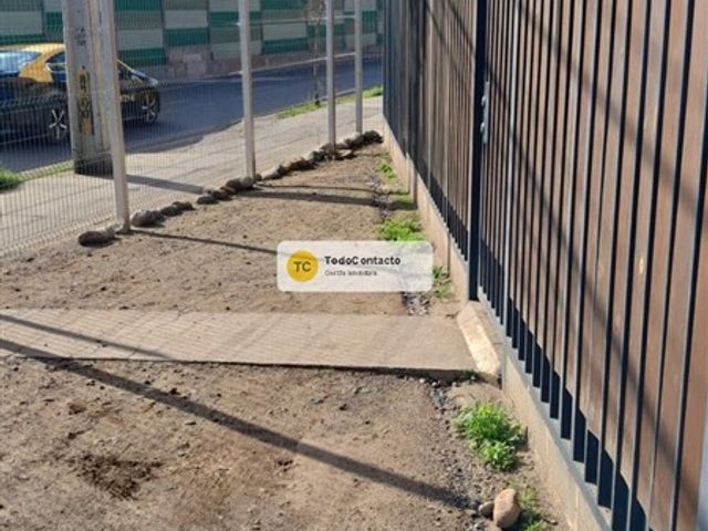 place photo 17