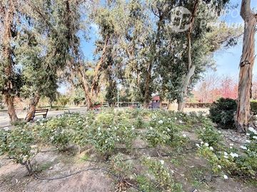 place photo 55