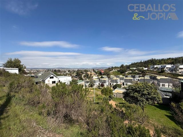 place photo 39
