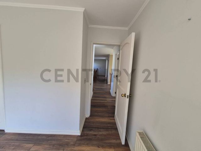 place photo 59