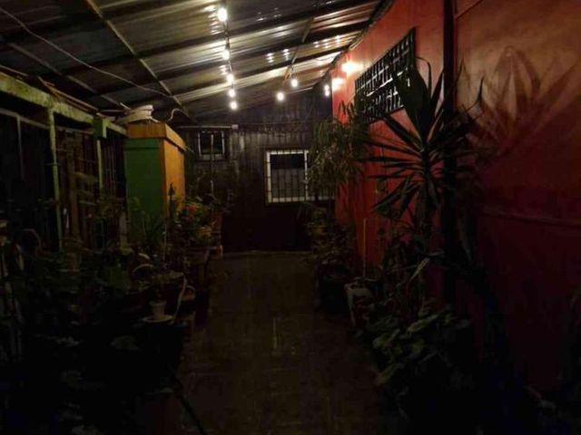 place photo 37