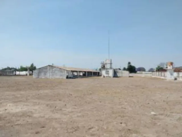 place photo 6