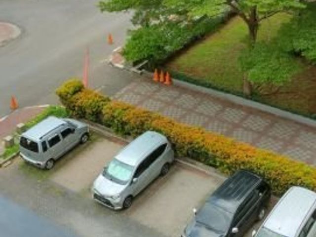 place photo 11