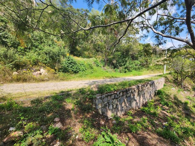 place photo 38