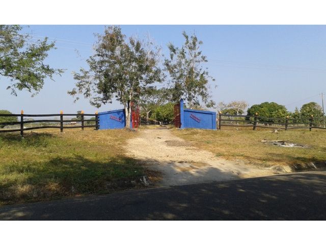 place photo 7