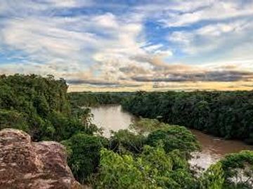 El Paujil, Caquetá