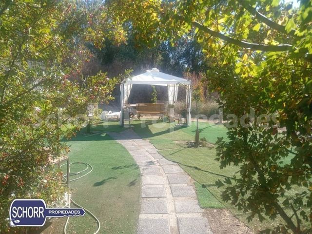 place photo 19