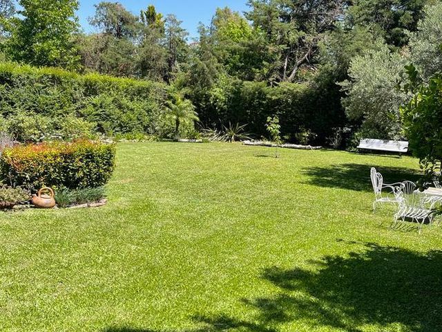 place photo 43