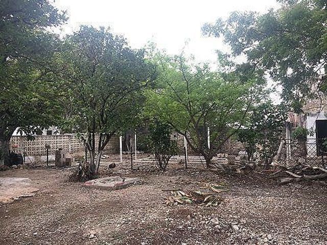 place photo 17