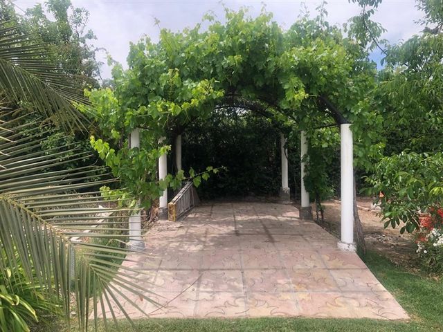 place photo 26