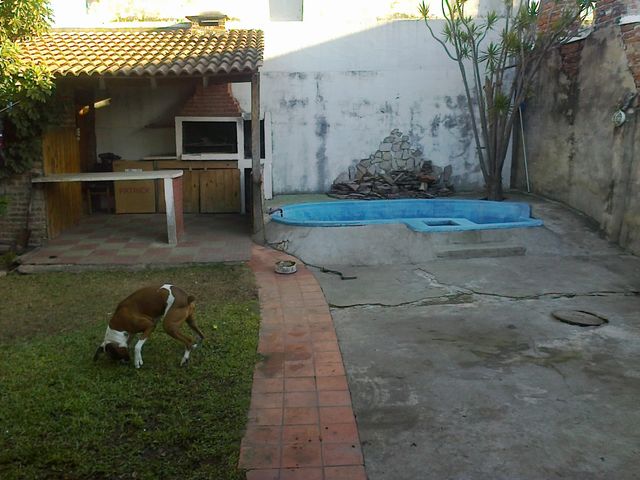 place photo 13
