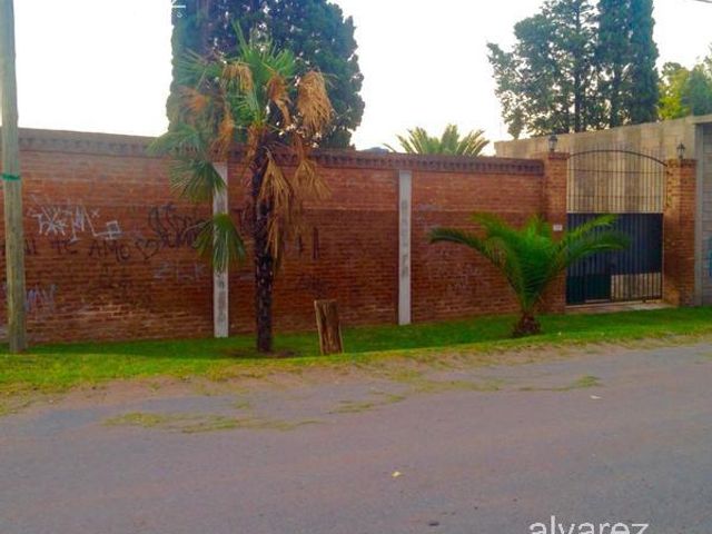 place photo 13