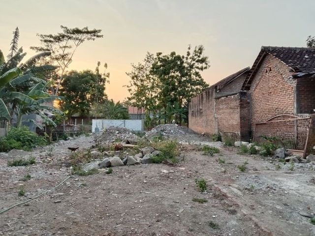 place photo 6