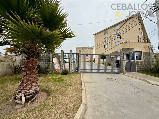 place photo 30