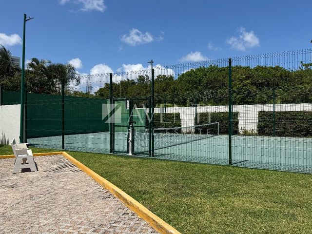 place photo 23