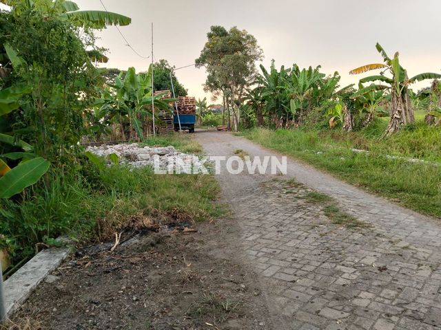 place photo 3