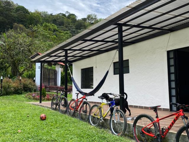 place photo 29