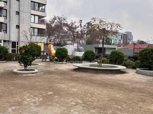 place photo 38