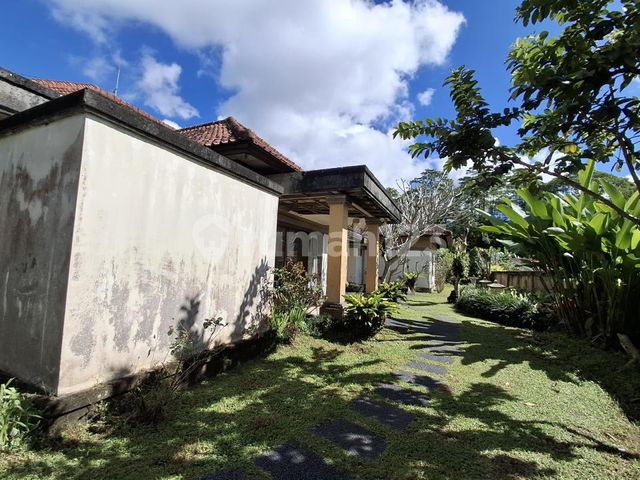 place photo 27