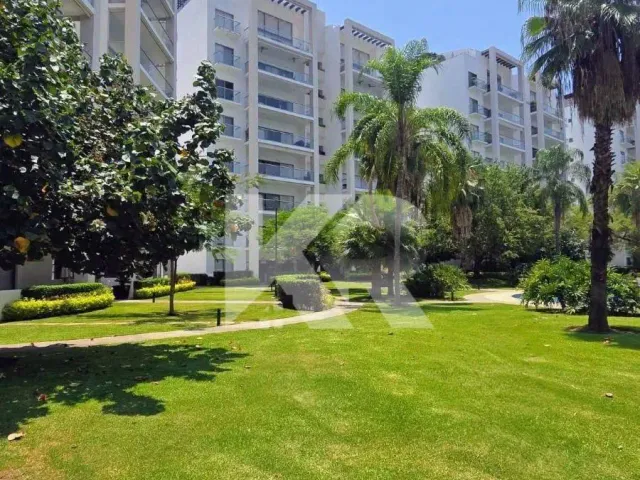 place photo 40