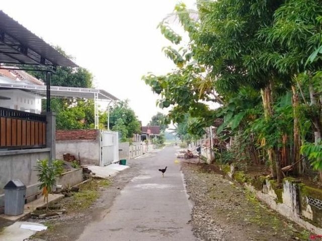 place photo 2