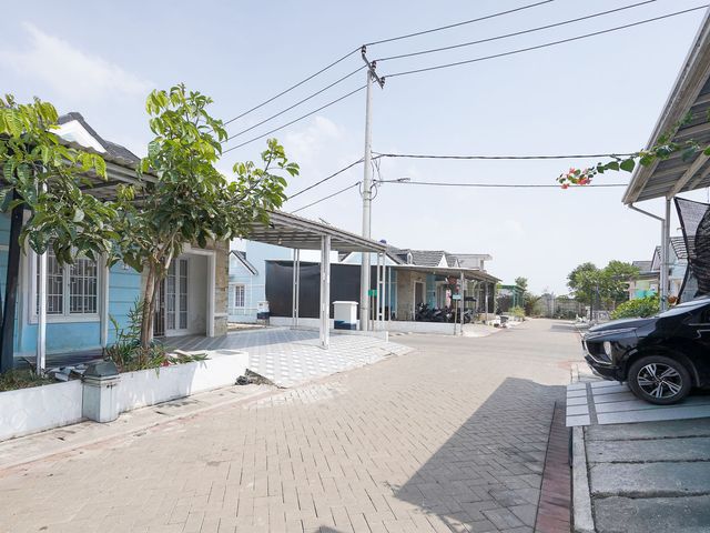 place photo 22