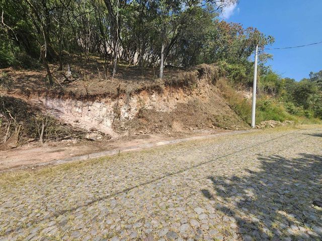 place photo 30