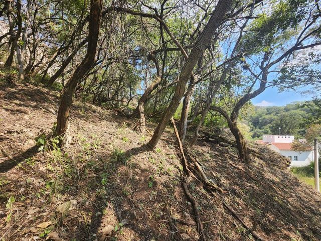 place photo 37