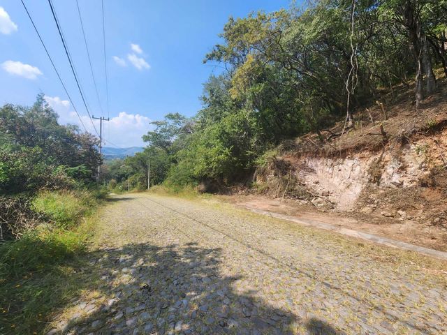 place photo 35
