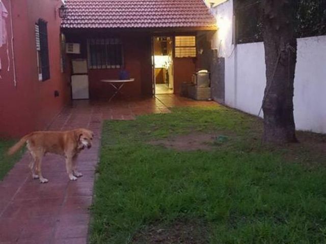 place photo 22