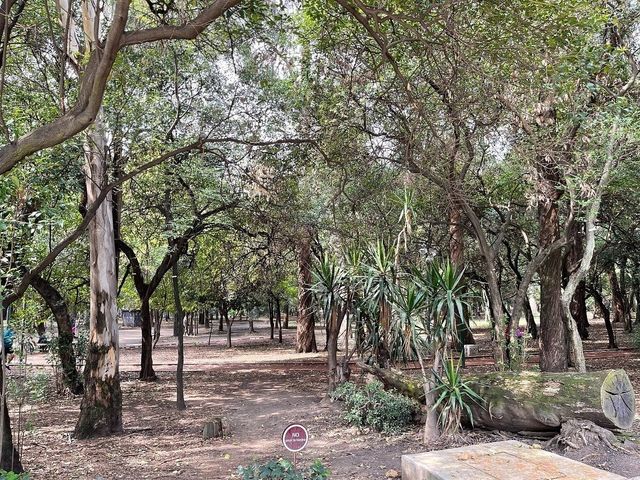 place photo 29