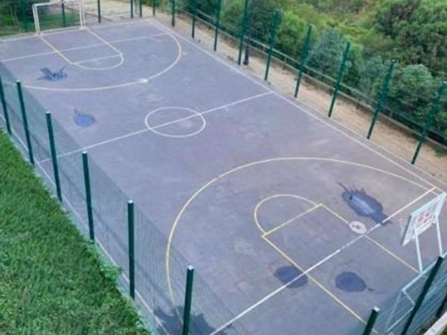 place photo 25