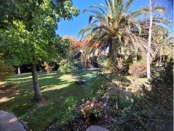 place photo 49