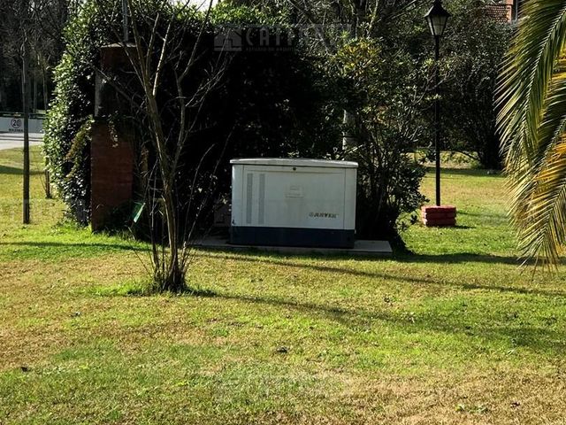 place photo 46