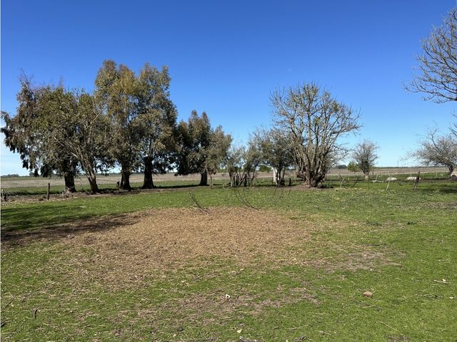 place photo 28