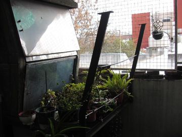 place photo 26