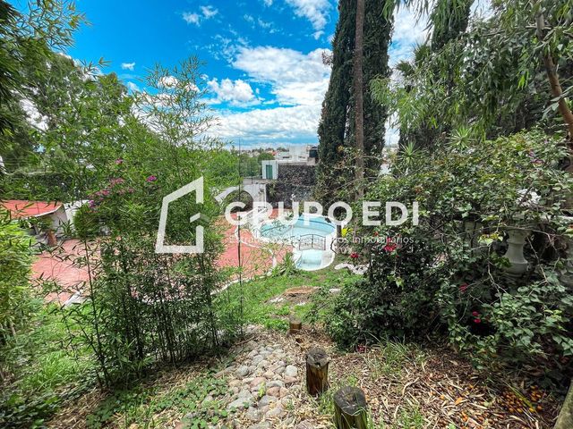 place photo 38