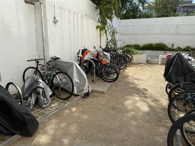 place photo 22