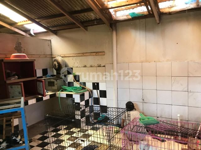 place photo 8
