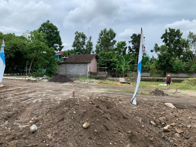 place photo 3