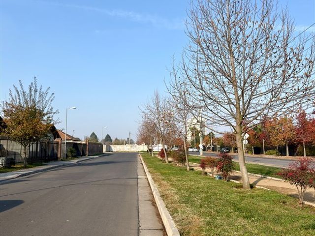 place photo 25