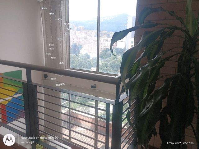 place photo 16