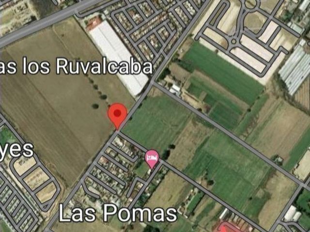place photo 7