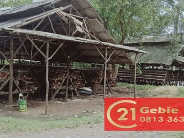 Tanah dijual di Mauk Barat