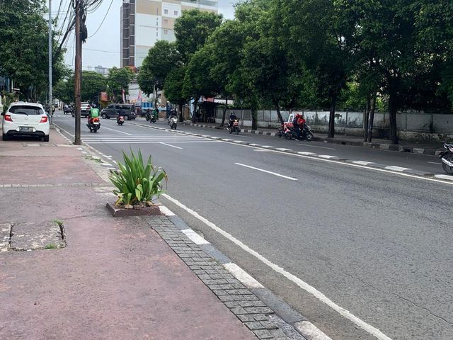 place photo 8