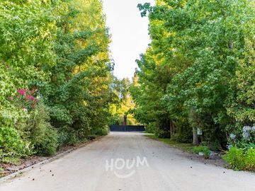 place photo 48