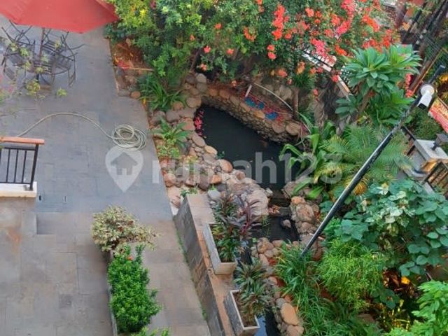 place photo 30