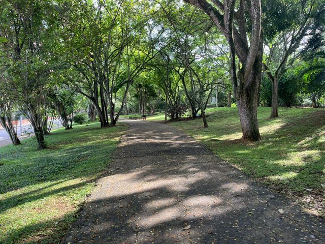 place photo 20