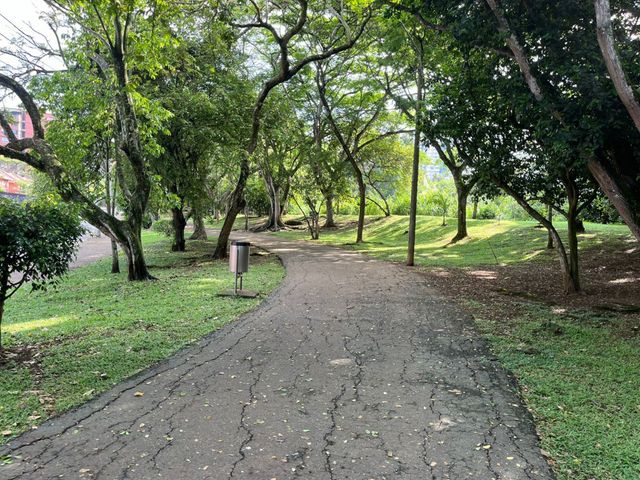 place photo 21